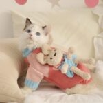 Cat Clothes 2 Style Warm Bear Rabbit Sweater - Image 7