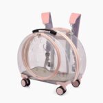 Transparent Cat Trolley With Wheels Rolling Carrier - Image 15