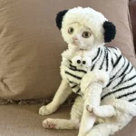 Cute Zebra Stripe Warm Clothes for Hairless Cats - Image 6