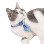 JK Bow Tie Cat Collar Set - Image 5