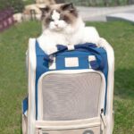 Portable Cat Travel Carrier Backpack 2 Color Cat Bag - Image 4