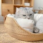 Cooling Cat Bed Hand Made Wicker Nest - Image 5