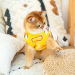 Cat Clothes 3 Color Winter Warm Sweater Vest - Image 9