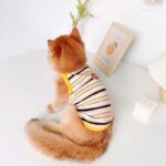 Summer Clashing Cat Vest 3 Color Pet Clothes - Image 3