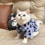 Cat Clothes 3 Color Winter Plush Warm Sweatshirts - Image 14