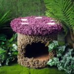 Mushroom Forest Cat Tree Climbing Frame - Image 4