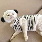Cute Zebra Stripe Warm Clothes for Hairless Cats - Image 10