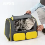 Cat Carrier Bag Foldable 4 Color Outdoor Travel Tote
