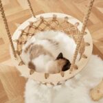 Solid Wooden Cradle Cat Tree Climbing Frame - Image 6
