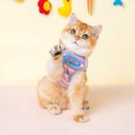 Mrduanju Rainbow Cat Vest Warm Pet Clothes - Image 6