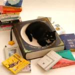 Fantasy Magic Book Cat Scratcher Bed - Image 12