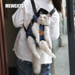 Cat Carrier Front Pack Sling Bag 8 Color Backpack