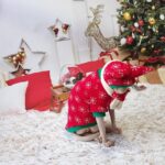 Christmas Sphynx Cat Sweater Hat Set Clothes - Image 3