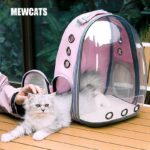 Cat Carrier Transparent 5 Colors Bubble Backpack