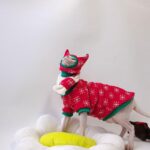 Christmas Sphynx Cat Sweater Hat Set Clothes - Image 9