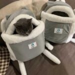 Cat Carrier Front Pack Warm Bag Backpack - Image 8