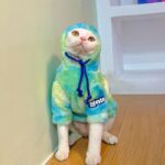 Gradient Sphynx Cat Clothes Warm Hooded Sweater - Image 5