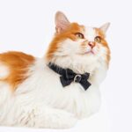 Ruffled Gemstone Bow Cat Collar - Image 10