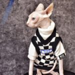 Chic Sphynx Cat Vest Warm Sweatshirt Clothes - Image 4
