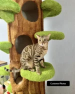Luxury Cat Tree Looks Like Tree Tall Climbing Frame - Image 22