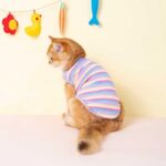 Mrduanju Rainbow Cat Vest Warm Pet Clothes - Image 4
