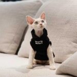 Cat Clothes Sphynx Hairless Cat Hoodie - Image 4