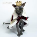 Sphynx Cat Clothes Warm Upscale Couple Cape - Image 6