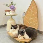 Leaf-Inspired Cat Scratcher Bed - Image 8