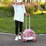 Cat Carrier Backpack With Wheels Transparent Trolley Case - Image 5