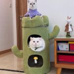 Cactus Cat Tree with Bed - Image 2