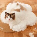 Cloudy Flower Cat Tree 5 Color Climbing Frame - Image 2