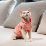 Cat Clothes Sphynx Hairless Cat Hoodie - Image 14