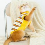 Cat Clothes 3 Color Winter Warm Sweater Vest - Image 12