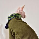 Solid Color Warm Sphynx Hairless Cat Green Clothes - Image 6
