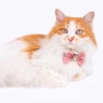 Ruffled Gemstone Bow Cat Collar - Image 11