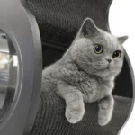 Luxury Minimalist Cat Climbing Tree Scratching Bed - Image 8