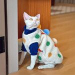 Devon Sphynx Hairless Cat Clothes Vest - Image 7