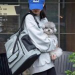 Mountain Chest Backpack Cat Front Carrier - Image 13