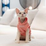Cat Clothes Sphynx Hairless Cat Hoodie - Image 11