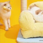 Cat Bed Couch Scratching Furniture Sofa - Image 4