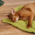 Cat Bed Mat Leaf Shape Washable Double-sided Use - Image 6