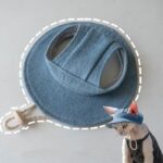 Hairless Cat Clothes Devon 16 Color Sunscreen Sun Hat - Image 19