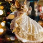 Sphynx Cat Clothes Warm Upscale Couple Cape - Image 4
