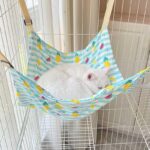 Cat Hammock for Cage 3 Color All Season Cute Bed - Image 6