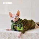 Solid Color Warm Sphynx Hairless Cat Green Clothes
