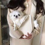 Candy Cat Sling Outdoor Tote 5 Color Carrier Bag - Image 11