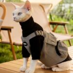 Sphynx Cat Vest 3 Color Devon Hairless Cat Clothes - Image 14