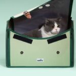 Cat Carrier Bag Travel Tote Large Backpack - Image 2