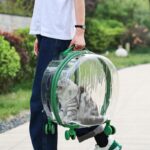 Transparent Cat Trolley With Wheels Rolling Carrier - Image 4