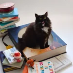 Fantasy Magic Book Cat Scratcher Bed - Image 5